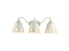 Eloise 3-Light Vanity Light in Antique Ivory (0883-BA3 AI)