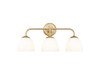 Dorinda 3-Light Vanity Light in Brushed Champagne Bronze with Opal Glass (6954-BA3 BCB-OP)