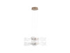 Vetrina LED 2-Light Pendant in Light Gold with Clear Glass Shade (8046-2P LG)