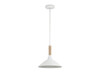 Journey 1-Light Pendant in Natural White (3318-M NWT)