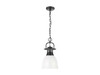 Duncan Small Pendant with Chain in Matte Black with Matte White (3602-S BLK-WHT)
