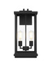 Theodore 9 Inch Outdoor Wall Sconce In Black (OD404W21BK)