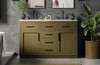 Elegant Furniture and Lighting Alden 54 Inch Double Bathroom Vanity In Chestnut Brown (VF29754DMCB)