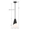 Brian Patrick Flynn Tori 1 Light Matte Black Mini Pendant (TOR-901-MK)