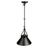 Artcraft Lighting Brydon 1 Light Sconce/Pendant Black (AC11242BK)