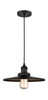 Appalachian - 1 Light - 12 inch - Matte Black - Cord hung - Mini Pendant (201C-BK-MFR-BK-12)