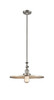 Appalachian - 1 Light - 16 inch - Brushed Satin Nickel - Stem Hung - Mini Pendant (206-SN-MFR-SN-16)