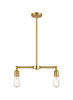 Bare Bulb - 2 Light - 20 inch - Satin Gold - Stem Hung - Island Light (209-SG)