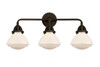 Olean - 3 Light - 25 inch - Oil Rubbed Bronze - Bath Vanity Light (288-3W-OB-G321)