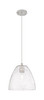 Crown Point - 1 Light - 9 inch - Satin Nickel - Pendant (434-1P-SN-GBD-94)