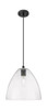 Crown Point - 1 Light - 12 inch - Matte Black - Pendant (434-1P-BK-GBD-124)