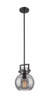Newton Sphere - 1 Light - 8 inch - Matte Black - Mini Pendant (411-1SS-BK-G410-8SM)