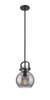 Newton Sphere - 1 Light - 8 inch - Matte Black - Mini Pendant (410-1SS-BK-G410-8SM)