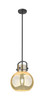 Newton Sphere - 1 Light - 10 inch - Matte Black - Mini Pendant (410-1SM-BK-G410-10ME)