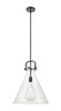 Newton Cone - 1 Light - 16 inch - Matte Black - Pendant (410-1SL-BK-G411-16CL)