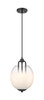 Fall Brook - 3 Light - 10 inch - Matte Black - Pendant (453-3P-BK-G453-10WCL)