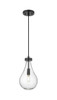 Owego - 1 Light - 5 inch - Matte Black - Pendant (451-1P-BK-G451-7SDY)