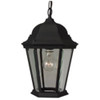 Straight Glass Cast 1 Light Outdoor Pendant in Textured Black (Z251-TB)