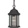 Hex Style Cast 1 Light Outdoor Pendant in Textured Black (Z291-TB)