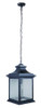 Gentry 1 Light Large Outdoor Pendant in Midnight (Z3221-MN)