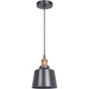 1 Light Mini Pendant in Matte Black/Patina Aged Brass (P760MBKPAB1)