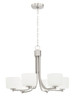 Clarendon 6 Light Chandelier In Brushed Polished Nickel (43526-BNK)