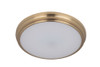X66 Series 1 Light 11" LED Flushmount in Satin Brass (X6611-SB-LED)
