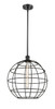 Lake Placid - 1 Light - 16 inch - Matte Black - Mini Pendant (516-1S-BK-CE-16-BK)
