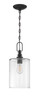 Dardyn 1 Light Mini Pendant in Flat Black (Clear Glass) (49891-FB-C)