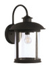 O'Fallon 1 Light Large Outdoor Wall Lantern in Dark Bronze Gilded (ZA3224-DBG)