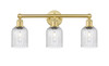 Bridal Veil - 3 Light - 23 inch - Satin Gold - Bath Vanity Light (616-3W-SG-G559-5SDY)