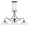 Parrish 3 Light Linear Pendant In Matte Black With Seeded Glass (8001-LP BLK-SD)