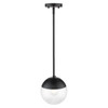 Dixon Small Pendant in Matte Black with Clear Glass and Matte Black Cap (3219-S BLK-BLK)