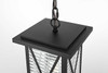 Elegant Furniture and Lighting Jada 14 Inch Outdoor Pendant In Black (OD607H14BK)