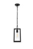 Veda 13 Inch Outdoor Pendant In Black (OD608H13BK)