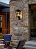 Elegant Furniture and Lighting Macon 12 Inch Outdoor Wall Sconce In Black (OD303W24BK)