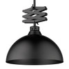 Hawthorn 1 Light Pendant In Matte Black With Matching Shade(s) (3824-M BLK-BLK)
