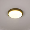 Gabi 10" Flush Mount in Brushed Champagne Bronze with Opal Glass (9128-FM10 BCB-OP)
