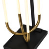 Artcraft Lighting Cascata Integrated LED Floor Lamp, Black and Brushed Brass (AC6816BK)