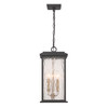 Artcraft Lighting Estate 3 Light Outdoor Pendant, Black, Brass with Rain Glassware (AC9275BK)