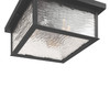 Artcraft Lighting Estate 3 Light Outdoor Flush Mount, Black, Brass with Rain Glassware (AC9276BK)