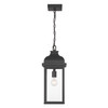 Artcraft Lighting Madrid 1 Light Outdoor Pendant, Black (AC8185BK)