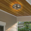 Seaport 2 Light Outdoor,Ceiling, Textured Bronze, Seeded Glass (9808-OFM TBZ-SD)