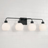 Capital Lighting Tanner 4-Light Vanity Light (120041MB-540)