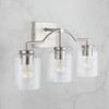 Carter 22" W x 11" H x 6.5" E 3-Light Clear Seeded Glass Vanity in Brushed Nickel  (139331BN-500)