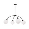 Capital Lighting Amos 4-Light Chandelier (457141BI-557)