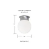 Capital Lighting Globe 1-Light Flush Mount (5569MN)