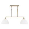 Capital Lighting Ross 2-Light-Linear Chandelier (852021AW)