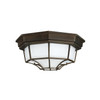 Outdoor 11" W x 5" H Outdoor 2-Light Frosted Glass Outdoor Flush Mount in Old Bronze (9800OB)