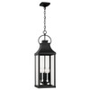 Bradford 9" W x 29.5" H Outdoor 4-Light Hanging Lantern in Black with Clear Glass (946442BK)